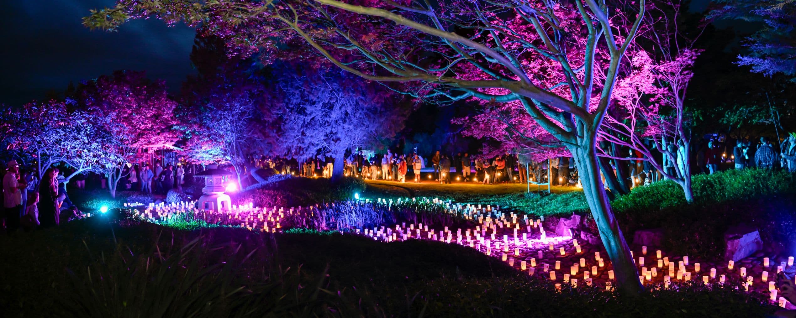Colourfully illuminated trees and hundreds of glowing candles light up the gardens at the Canberra Nara Candle Festival.